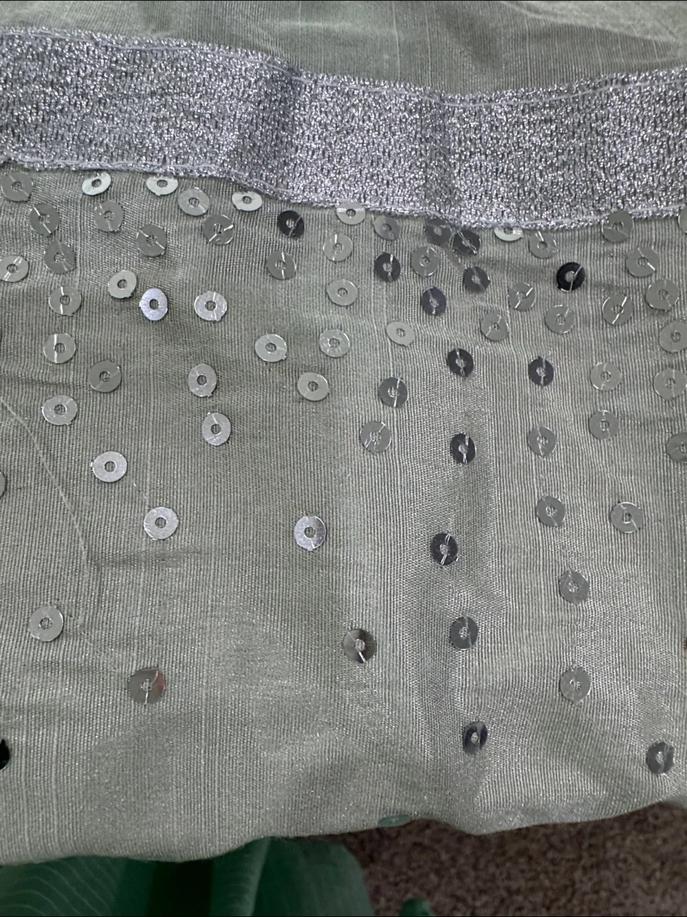 Croscill Light Sage Embellished shower curtain